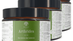 Arthridea 3er Pack – Die Göttin der Gelenke (900g)-Copy