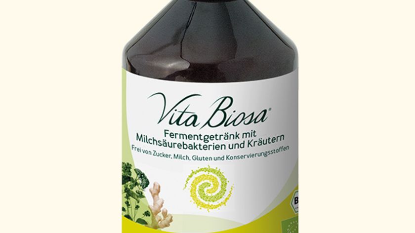 Vita Biosa Ingwer, BIO, 500 ml