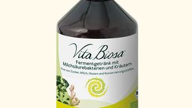 Vita Biosa Ingwer, BIO, 500 ml