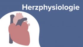 Herzphysiologie