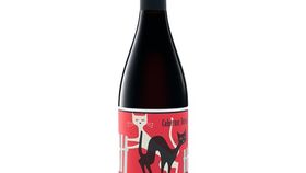 Weingut Wildner - Cabernet Dorsa