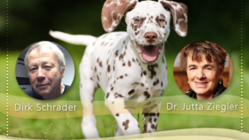 Video-Workshop: &quot,Alternative Tierheilkunde&quot, Dr. Jutta Ziegler / Dirk Schrader