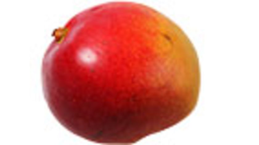 Mangos Osteen