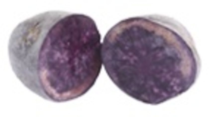 Kartoffeln Purple Rain (1 kg)