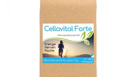 Cellavital® Forte | Multi-Synergie für jeden Tag - 500 Kapseln im Vorratsbeutel