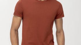 hessnatur Herren T-Shirt Zwirnjersey aus Bio-Baumwolle - braun - Größe 56