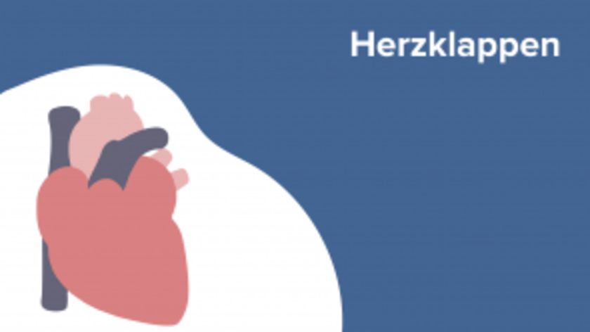 Herzklappen