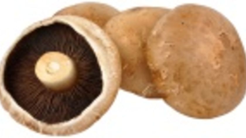 Portobello (Riesenchampignons) (1 kg) von Natur.com bei Aikana