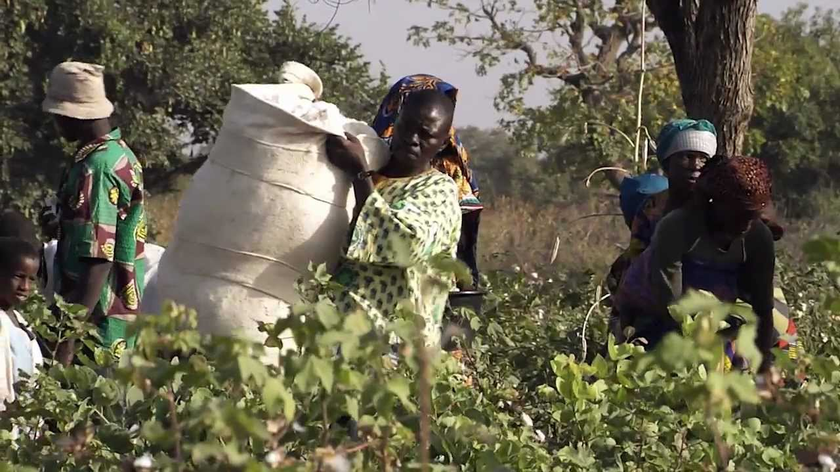 hessnatur - Bio-Baumwolle in Burkina Faso