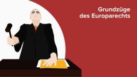 Grundzüge des Europarechts