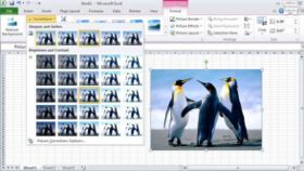 Graphics and Objects in Excel 2010