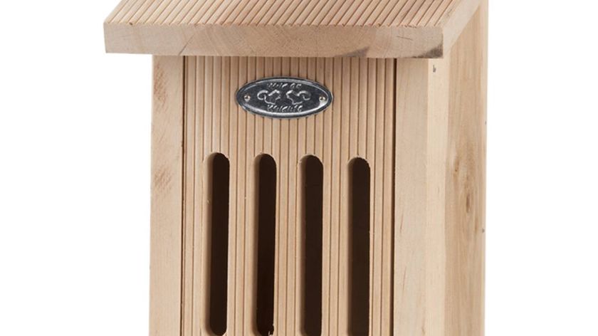 Schmetterlingshaus aus Erlenholz in Geschenkbox
